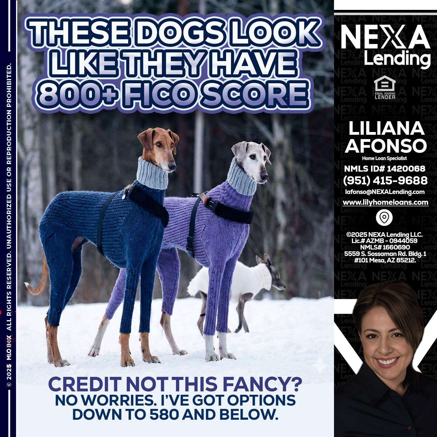 THESE DOGS LOOK - Liliana Afonso -Home Loan Specialist
